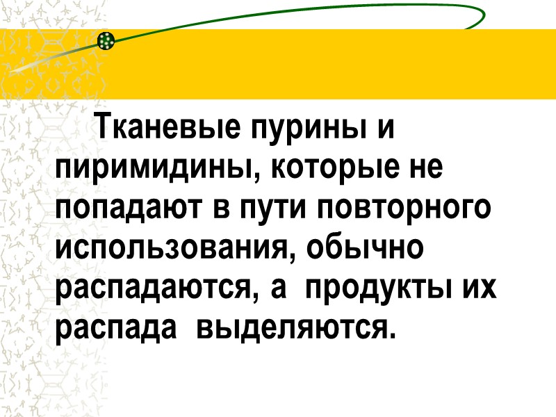 Тканевые пурины и пиримидины, которые не попадают в пути повторного использования, обычно  распадаются,